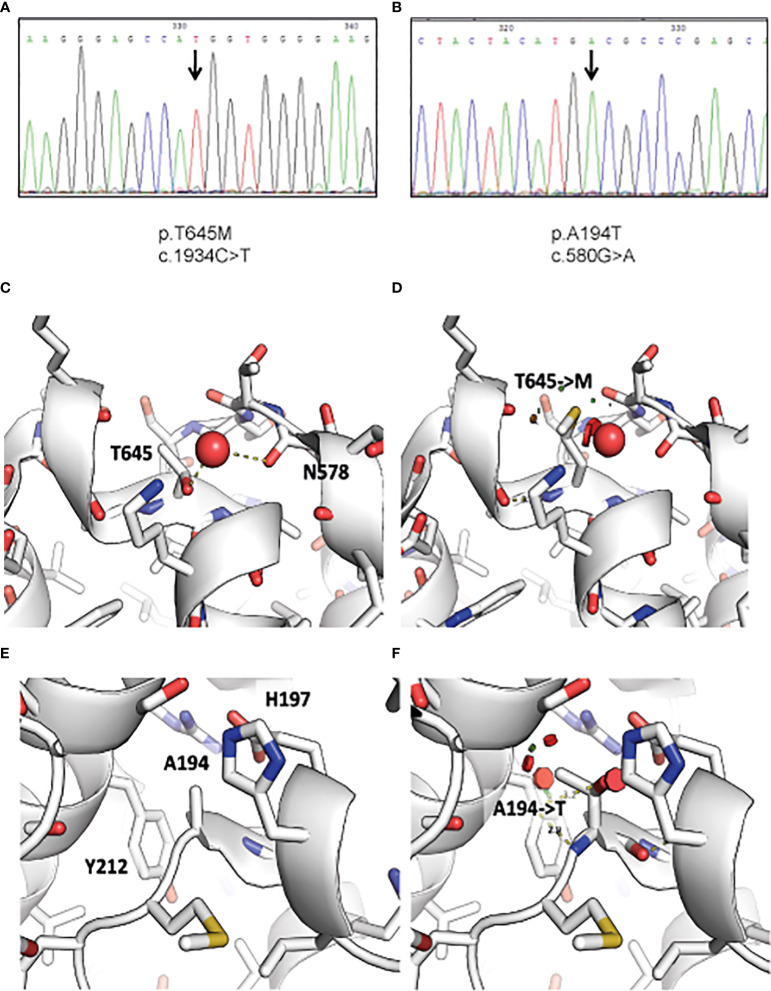 Figure 1