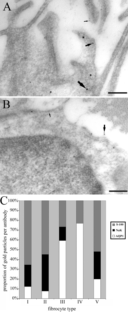 Figure 11.