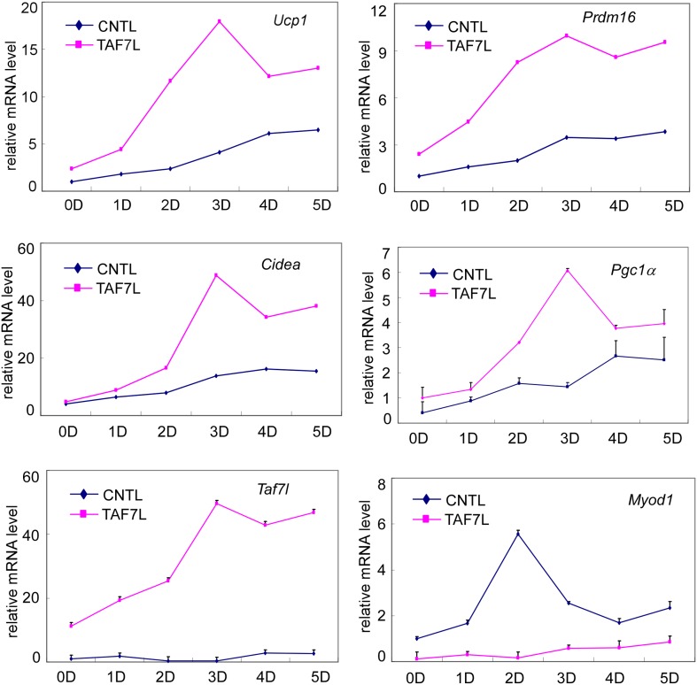 Figure 2—figure supplement 2.