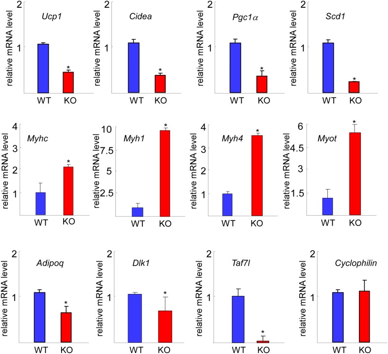 Figure 1—figure supplement 2.