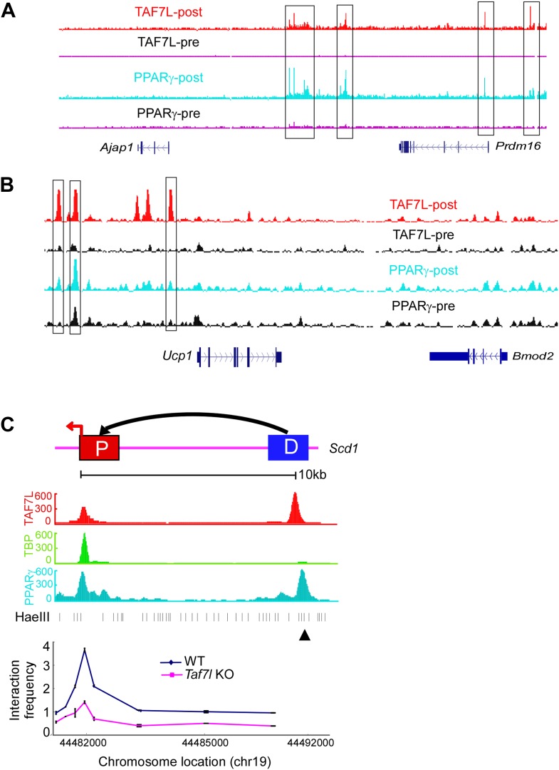 Figure 3—figure supplement 1.