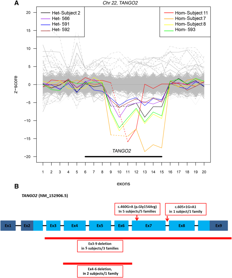 Figure 2