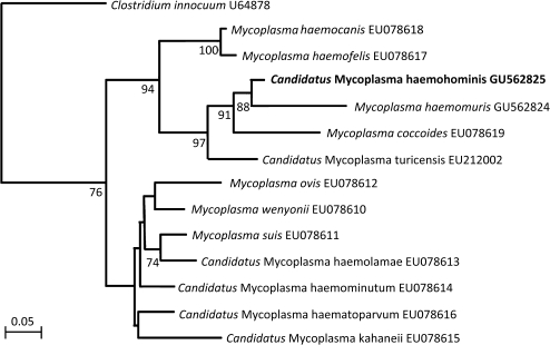 Figure 2.