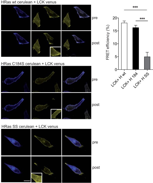 FIG 6