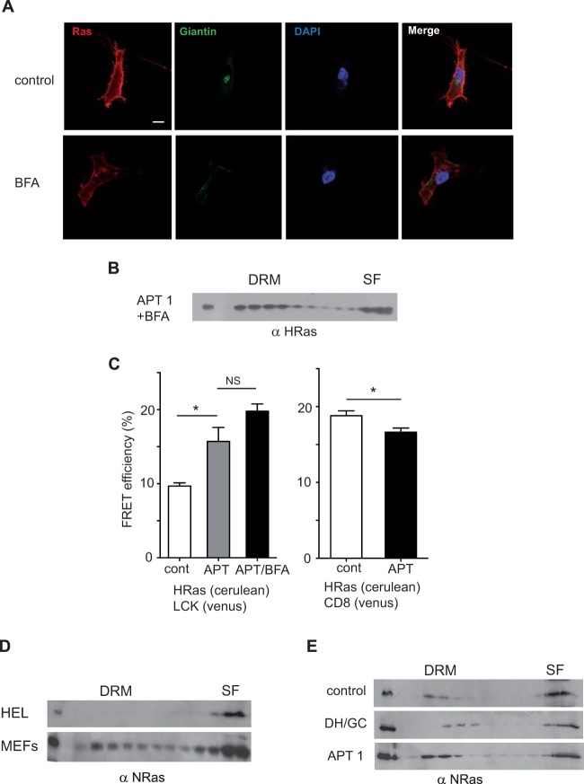 FIG 9