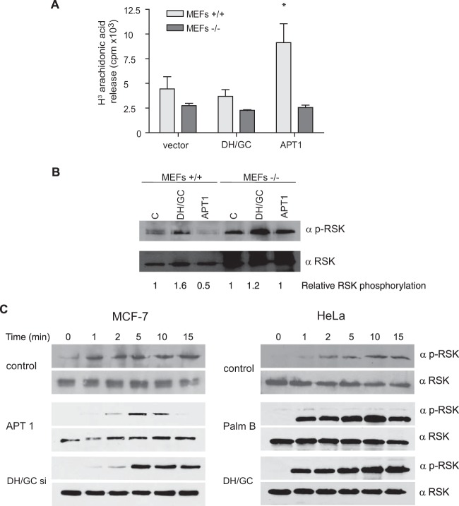 FIG 10