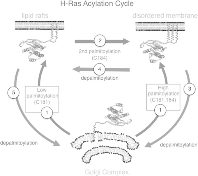 FIG 12