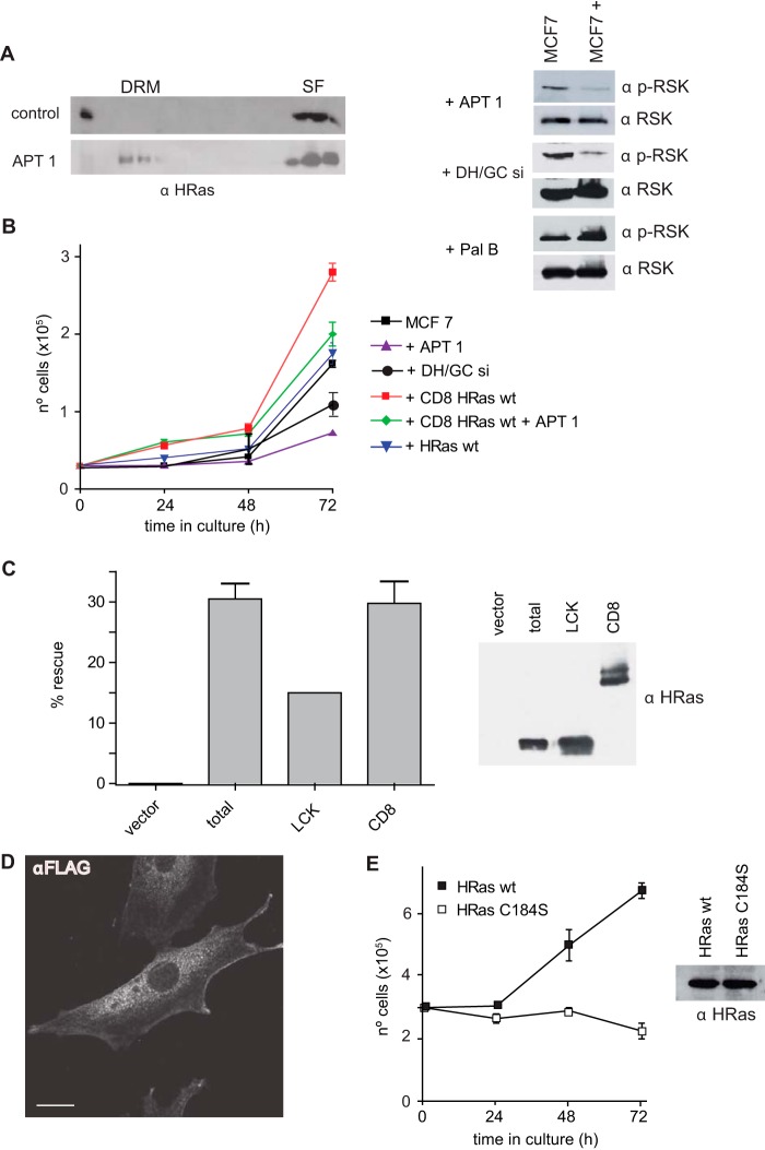 FIG 11