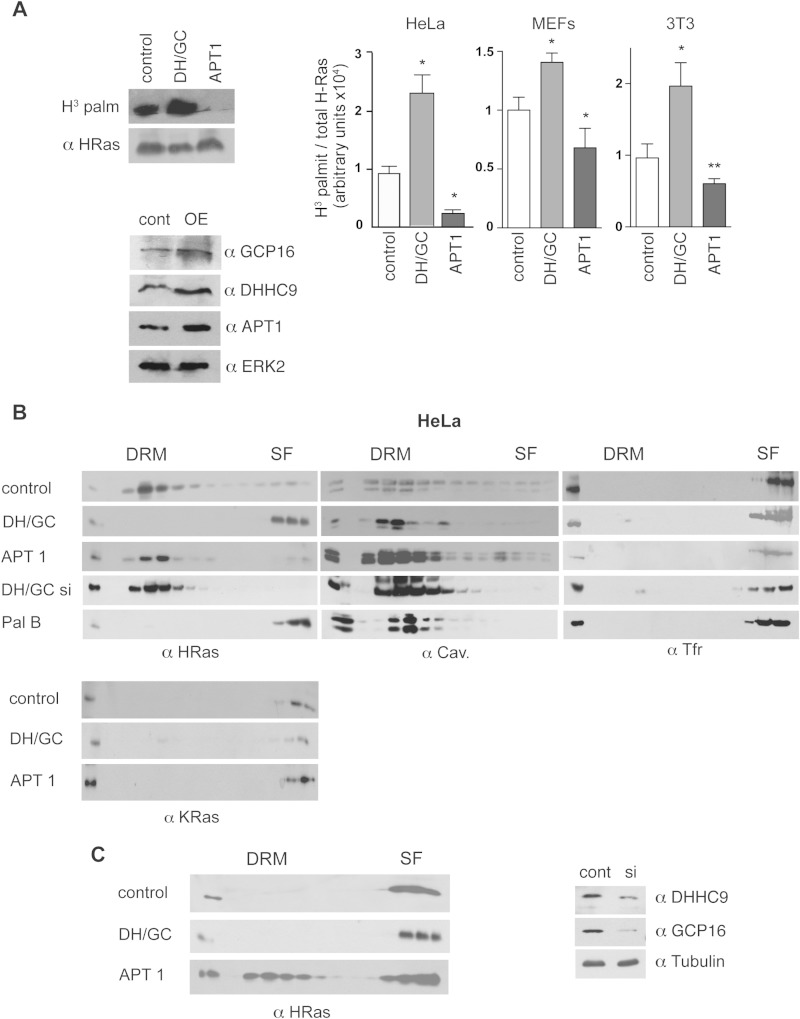 FIG 7