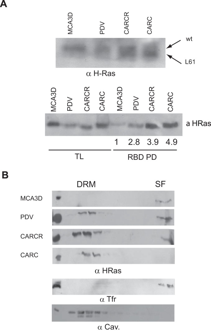 FIG 4