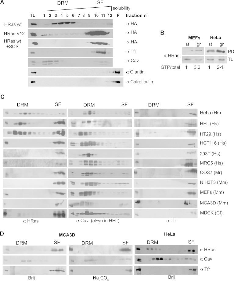 FIG 1