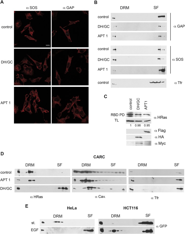 FIG 8