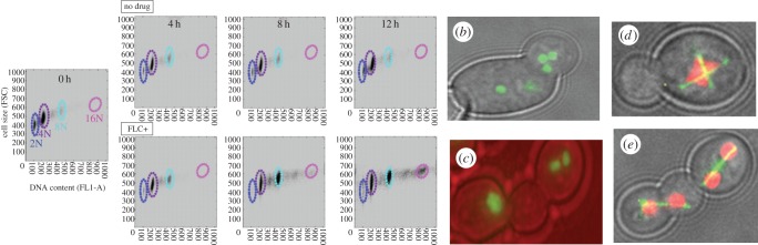 Figure 2.