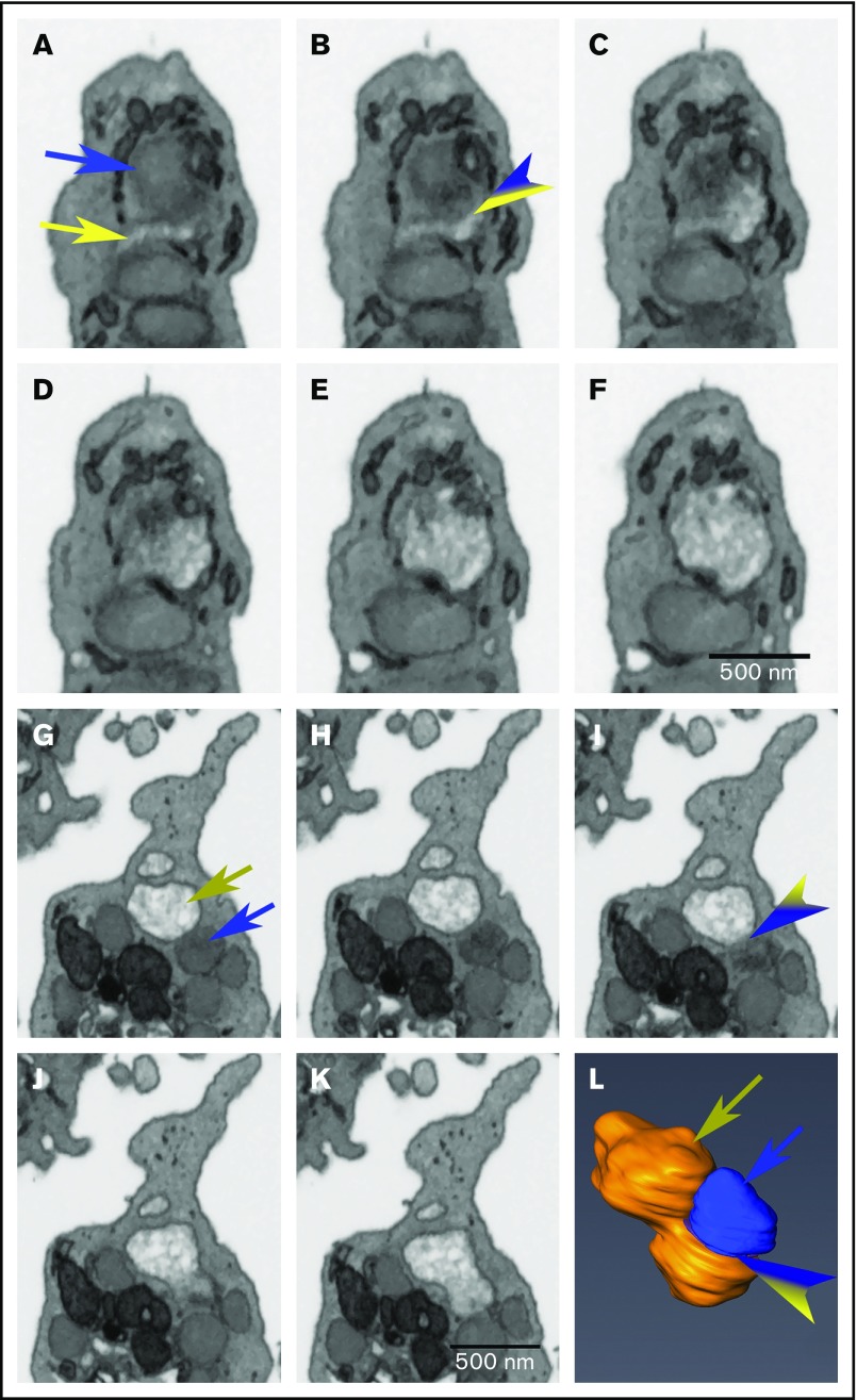 Figure 5.