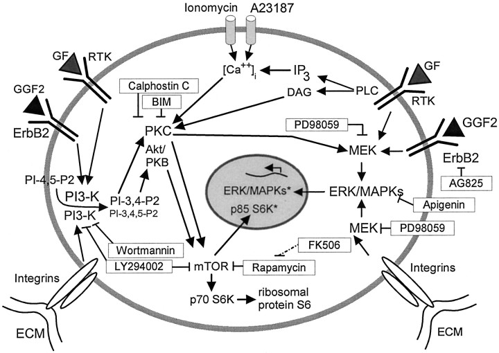 Fig. 9.