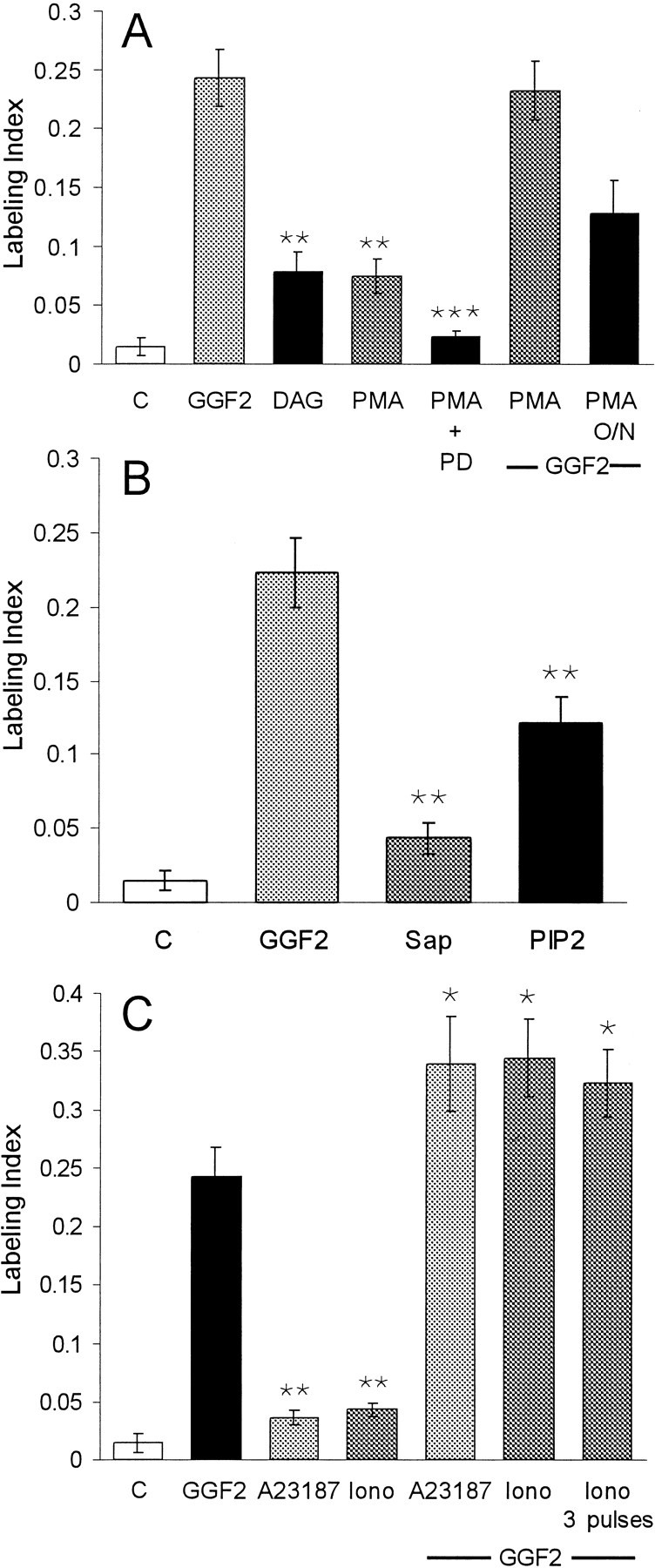 Fig. 8.