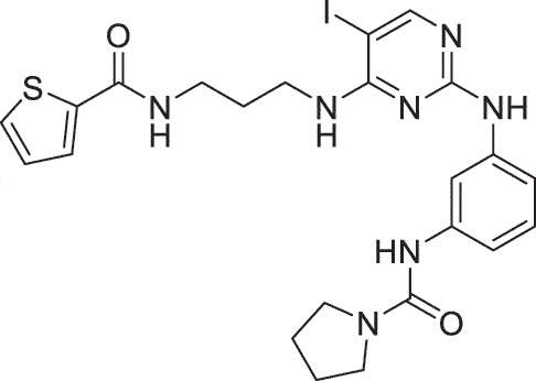 An updated review of HSV-1 infection-associated diseases and treatment ...