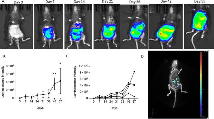 Fig 4