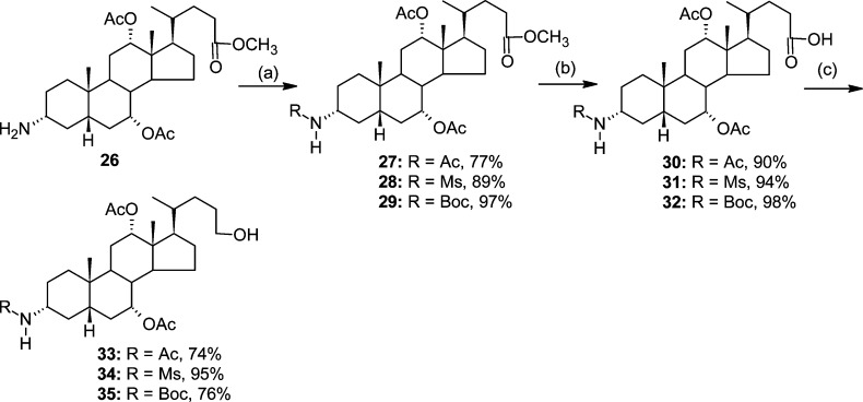 Scheme 2