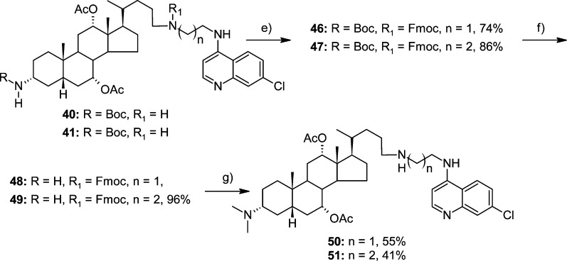 Scheme 4