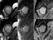 Fig 8