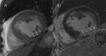 Fig 7