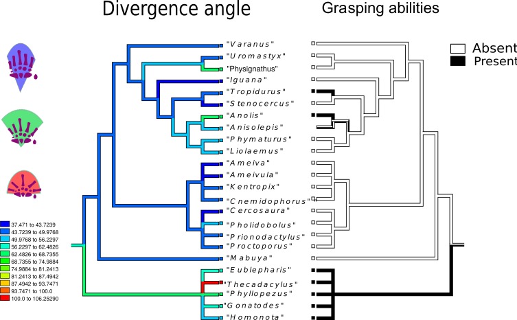 Figure 7