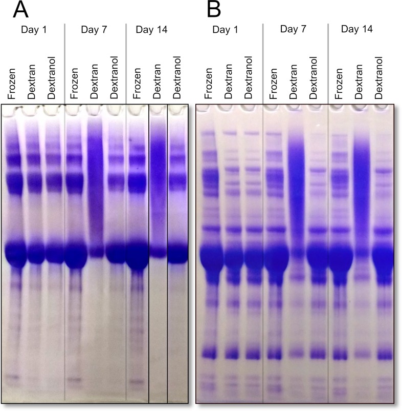 Fig 5