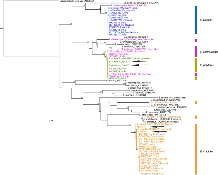 Figure 2