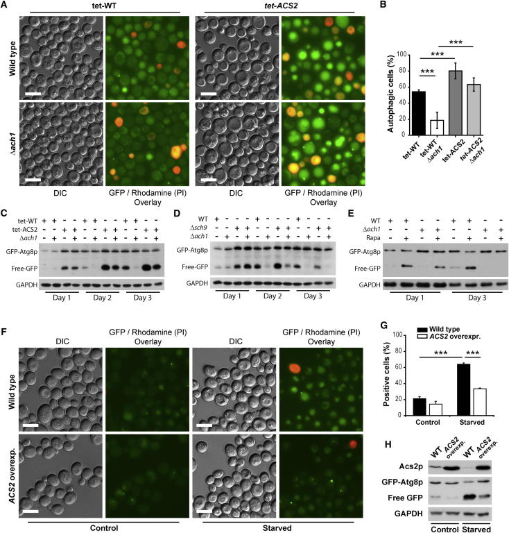 Figure 6