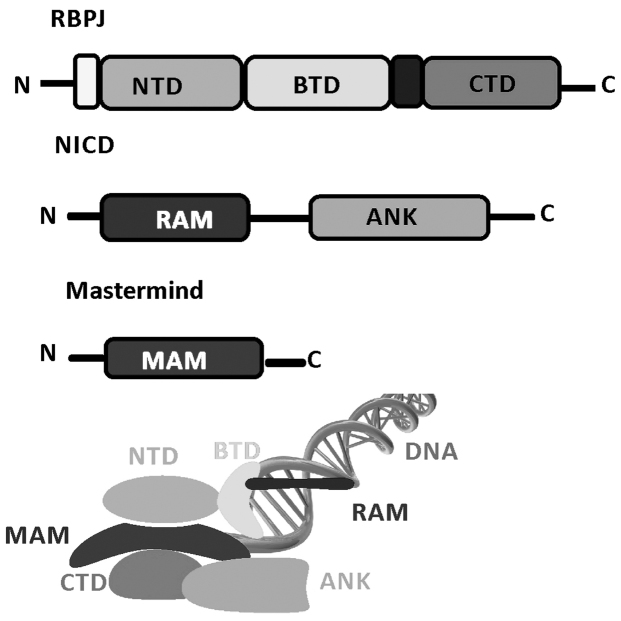 Figure 2.