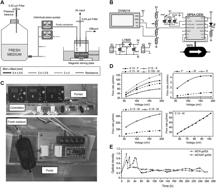 Figure 4