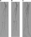 Fig. 12