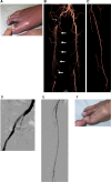 Fig. 10