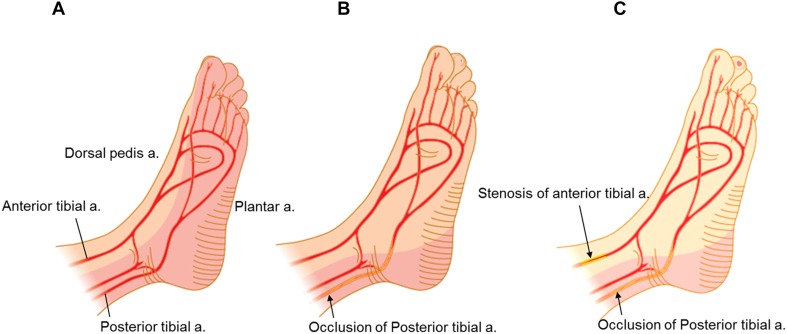 Fig. 13