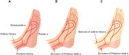 Fig. 13