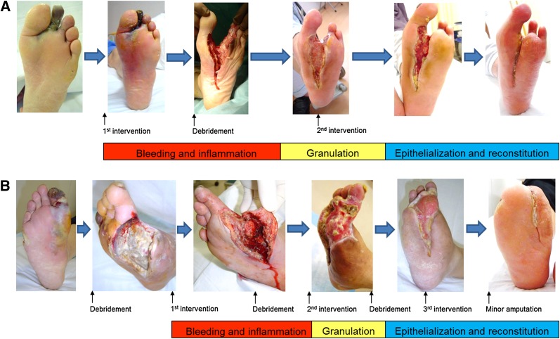 Fig. 8