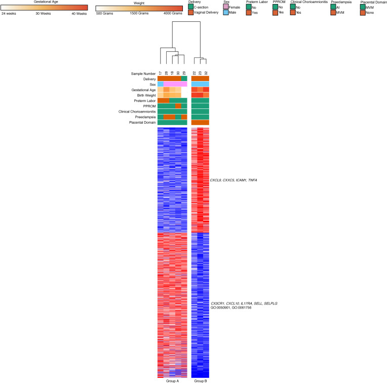 Figure 15