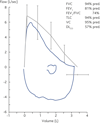 Figure 1b
