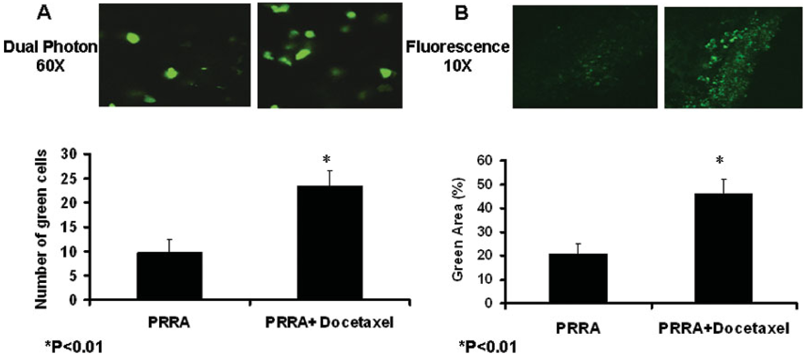 Fig.2.