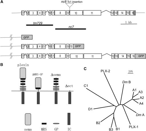 Figure 1.—