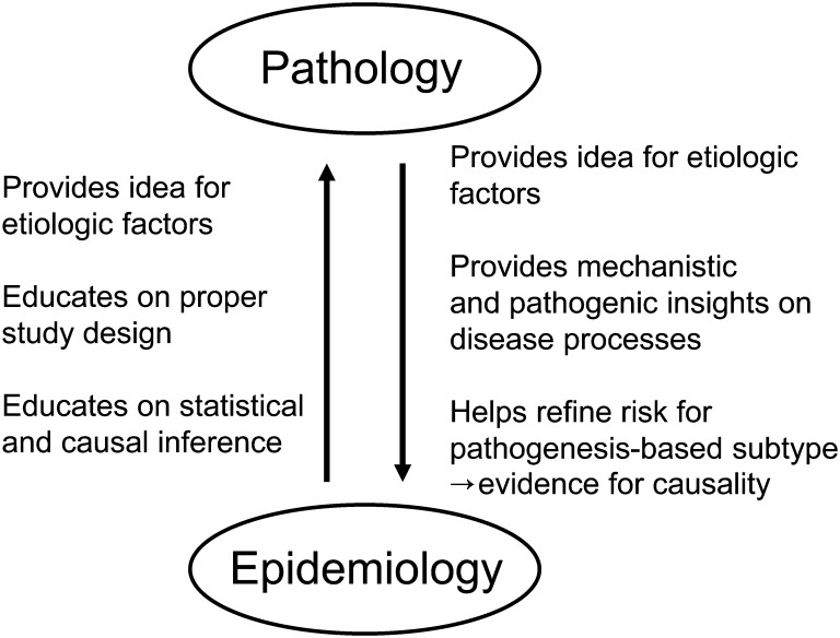 Figure 1.