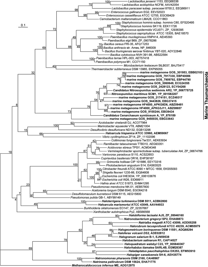 Fig 5