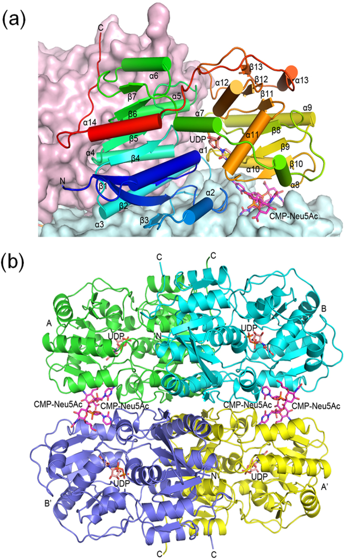 Figure 2