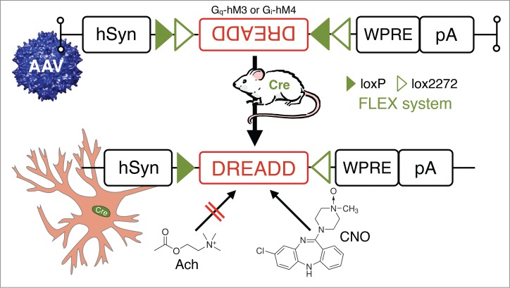 Figure 7.