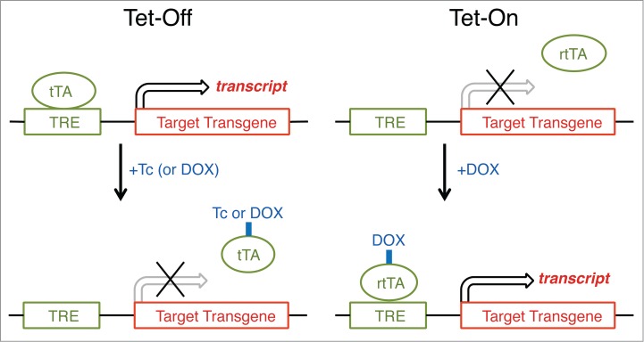 Figure 6.