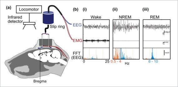 Figure 1.