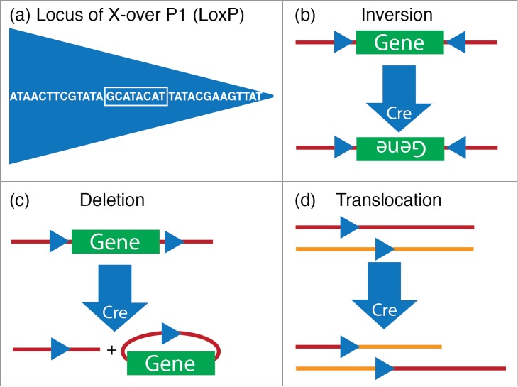 Figure 3.