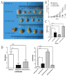 Fig4