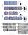 Fig3